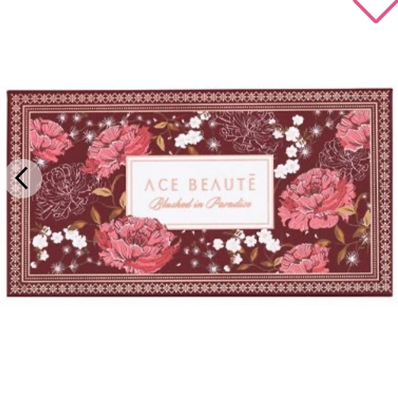 NIB ACE BEAUTÈ Blushed in Paradise Palette - Picture 8 of 8